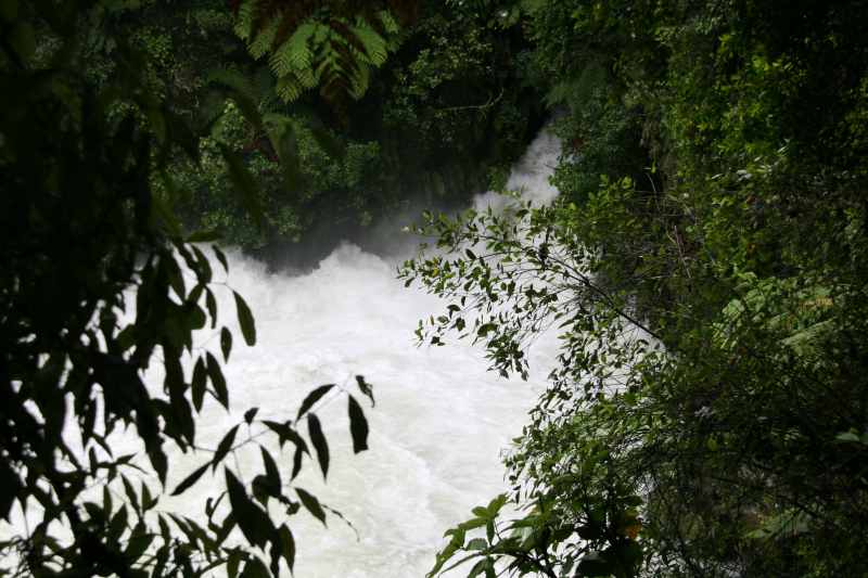 Nieuw-Zeeland 2011 - 0572